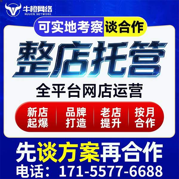 衡阳电商代运营