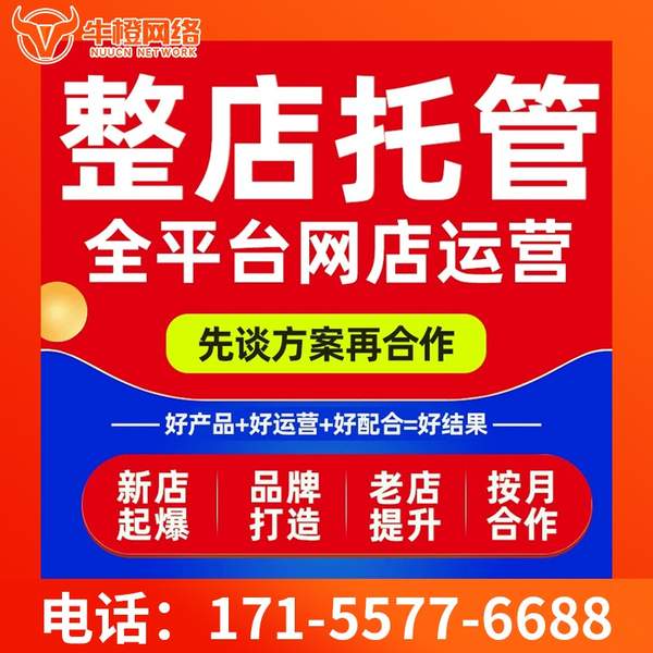 衡阳电商代运营