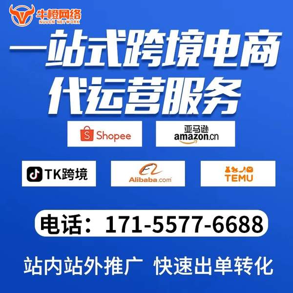 衡阳电商代运营