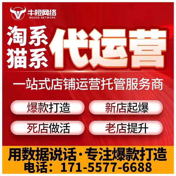 衡阳电商代运营